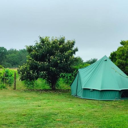 Quinta Da Teimosa Villa Monção Kültér fotó